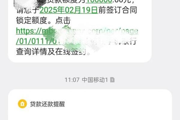 来分期借款未定义错误什么意思