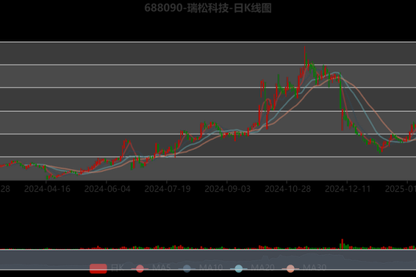 瑞松科技是民营企业吗