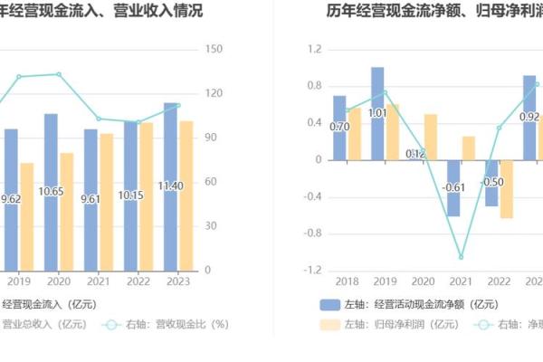 瑞松科技是民营企业吗