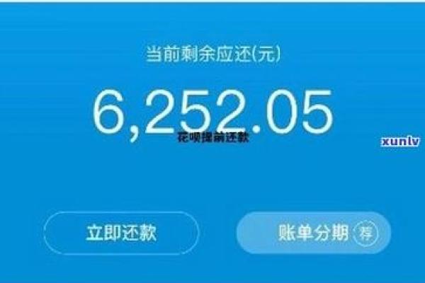 花呗逾期半个多月了还清了什么时候能使用