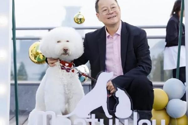 佩蒂股份是哪个板块