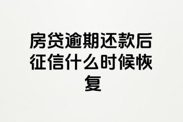 逾期还款是什么意思