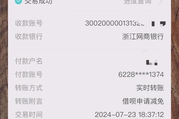 花呗借呗还款支出是什么意思