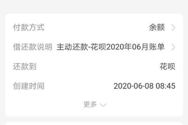 花呗借呗还款支出是什么意思