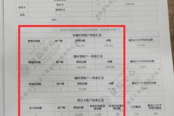征信白户可以网贷吗