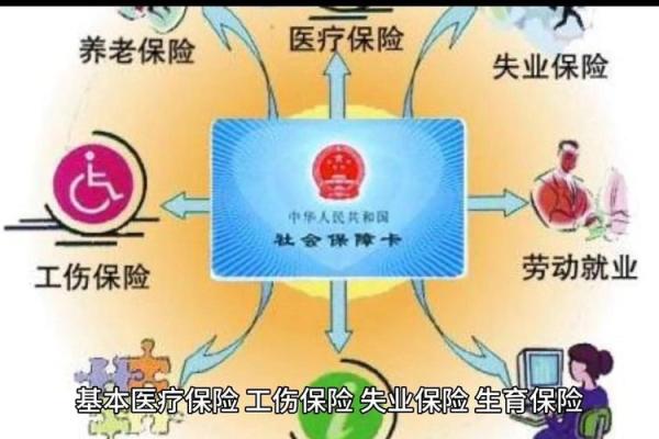 社保包括哪些保险
