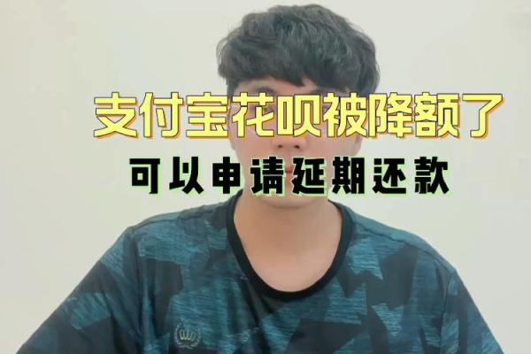 支付宝降额怎么回事