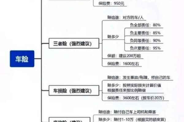 买车交什么险