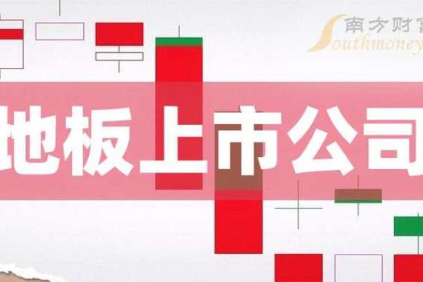 中小板股票是什么开头