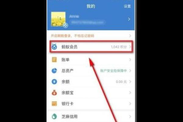 支付宝积分兑换的红包怎么用