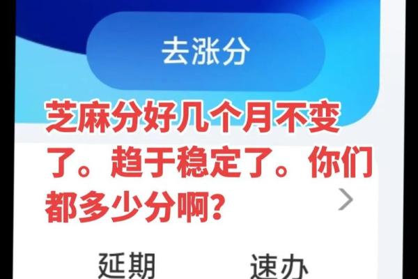 录入车辆芝麻分涨多少