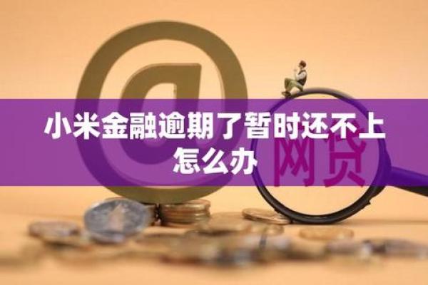 小米金融可以延期几天