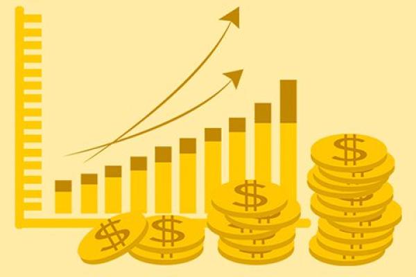 金山股份是做什么的