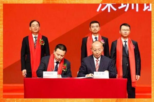 严牌股份做什么的
