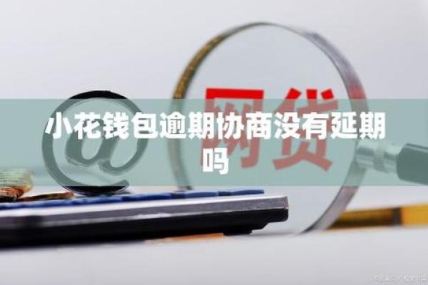 小花钱包不还款的后果