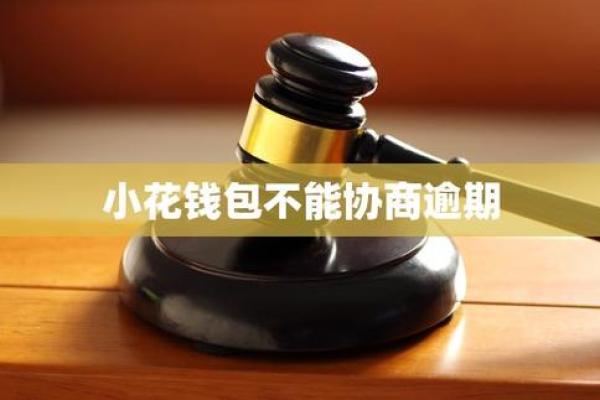 小花钱包不还款的后果