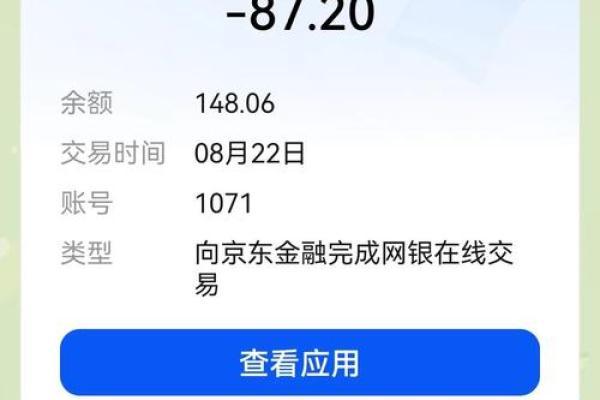 京东白条体验版是什么意思