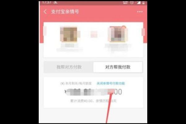 支付宝亲情号支付功能是什么