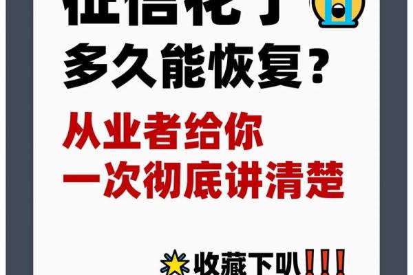 征信去哪打