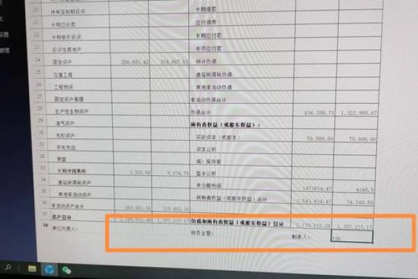 以前年度损益调整在资产负债表哪里