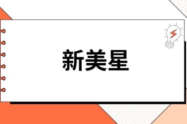 新美星是做什么的