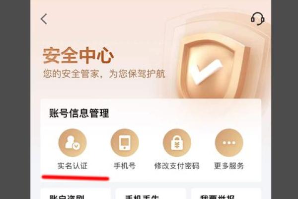 京东金条有额度为什么没法借款