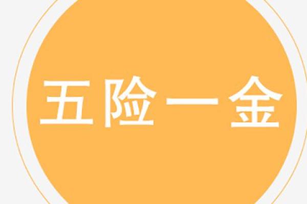 企业年金怎么算