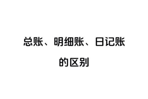 明细账怎么登