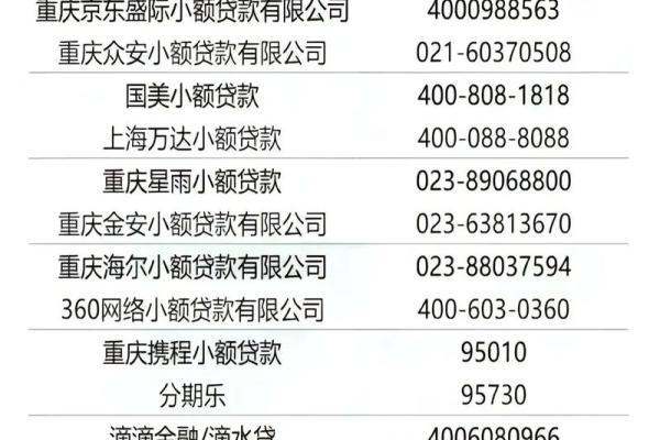小贷公司倒闭后怎么还款