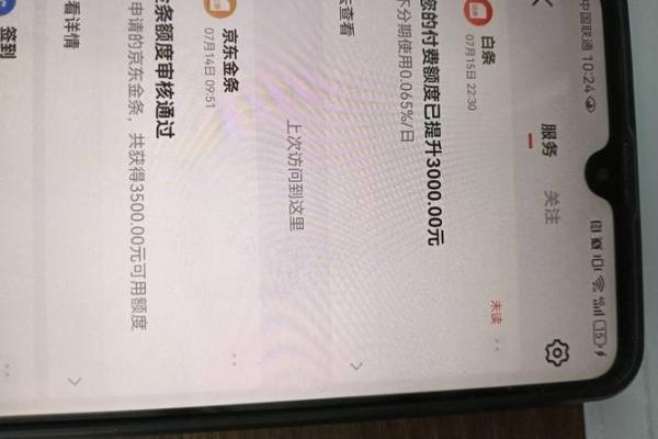 金条额度是负数是什么意思