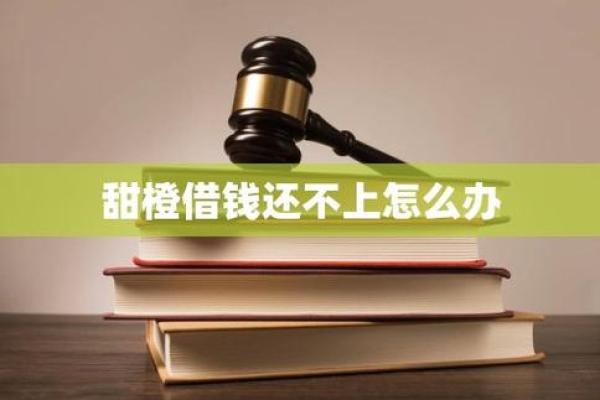 甜橙借钱有额度借不了