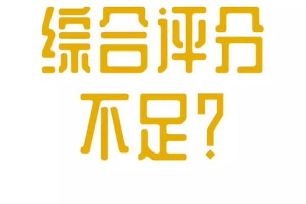 综合评估未通过是什么意思