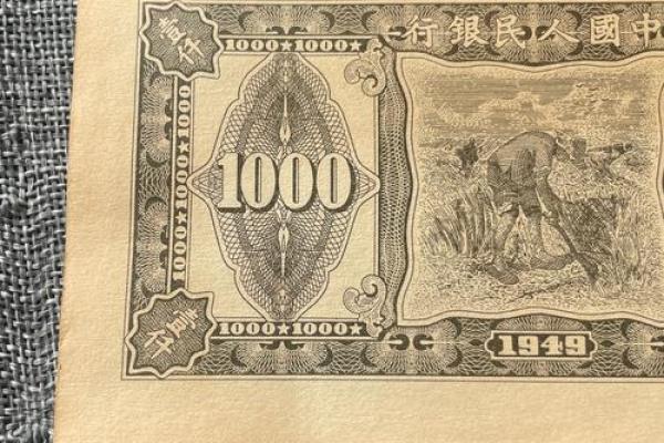 伍仟圆还是伍仟元