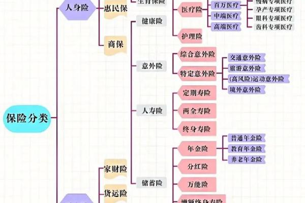 人寿保险的种类