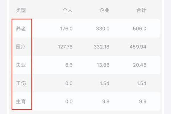 五险怎么查询个人账户余额