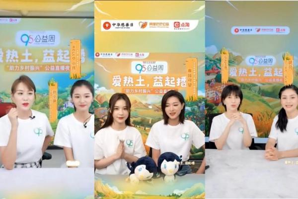 支付宝95公益项目是什么