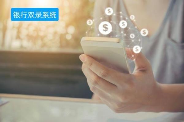 什么是双录