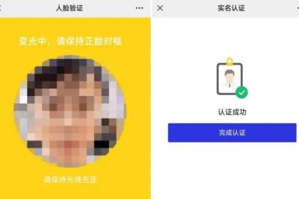 什么是双录