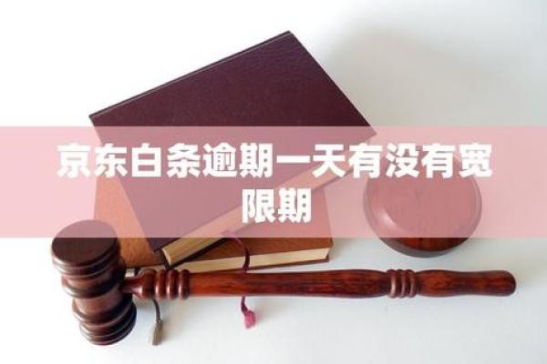 京东白条3天宽限期