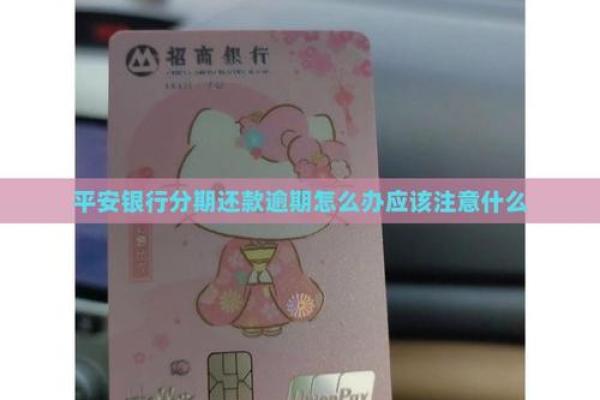 平安银行分期卡啥意思