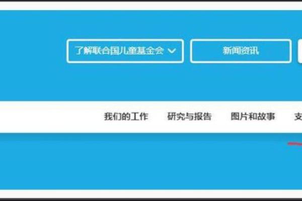 联合国儿童基金会怎么捐款