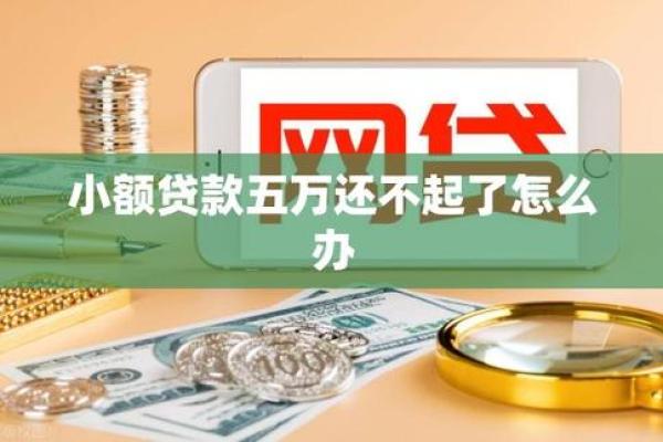 小额贷款还不上怎么办