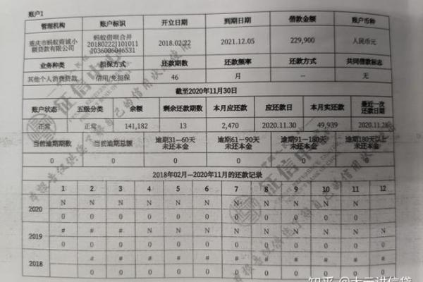 蚂蚁借呗开通查征信吗