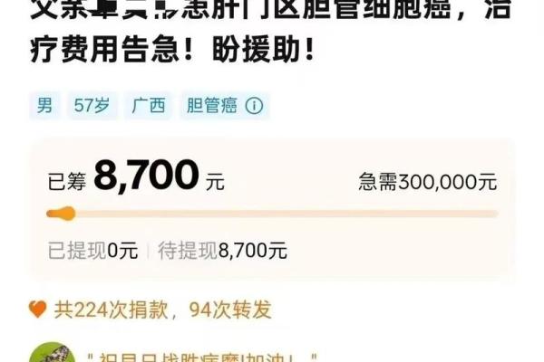 轻松筹筹款要什么条件