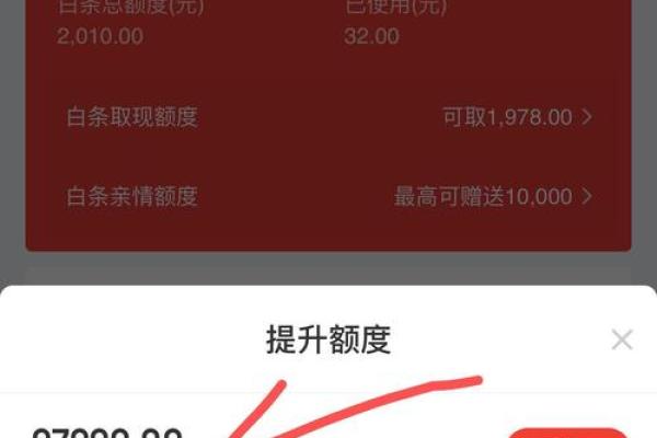 京东白条闪充额度什么意思