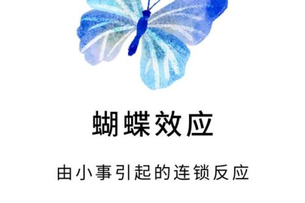经济学中蝴蝶效应指的是什么