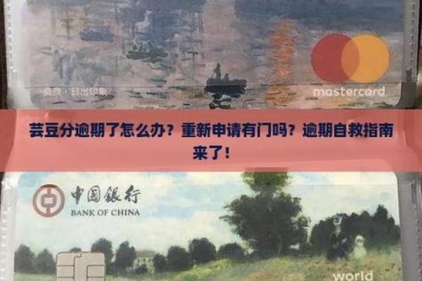 芸豆分上征信吗