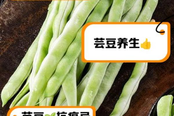 芸豆分上征信吗