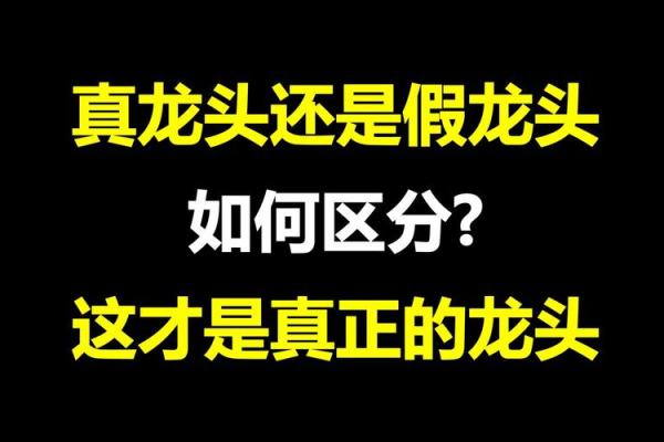 什么是龙头股,怎么看
