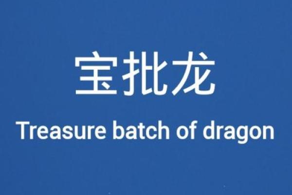 网批是什么意思